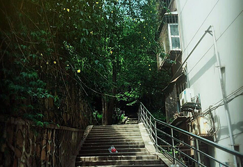珞珈山第 13 张图片