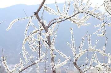 孟获城第 18 张图片