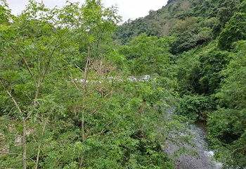 广西龙虎山风景区第 50 张图片