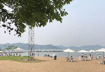 东钱湖随风沙滩第 21 张图片