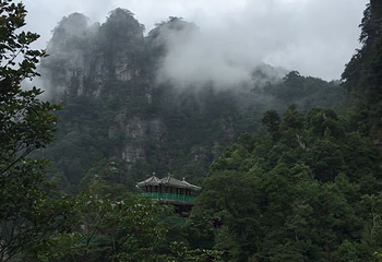 广西大瑶山国家级自然保护区第 40 张图片