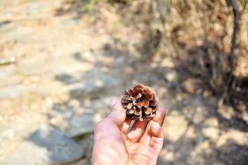 石柱峰第 18 张图片