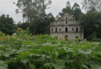色色中国环球影城旅游基地第 16 张图片