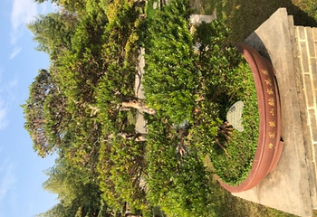古徽州文化旅游区第 10 张图片