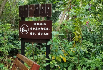 保亭七仙岭南美温泉山庄第 18 张图片