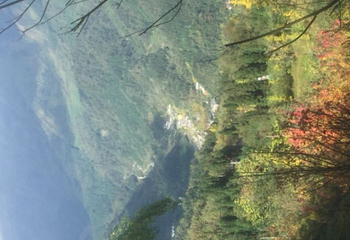 川西红枫岭第 67 张图片
