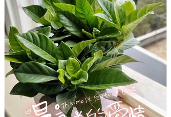 武功山嵘源温泉第 39 张图片