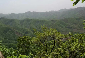 白云山第 48 张图片