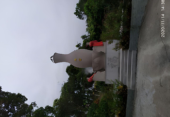 观音山旅游风景区第 308 张图片