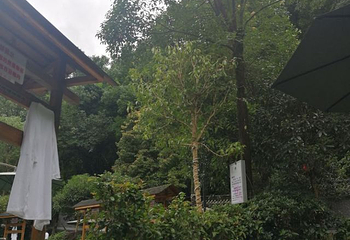 峨眉山-源头温泉第 11 张图片