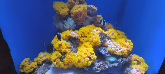 北海海底世界第 89 张图片