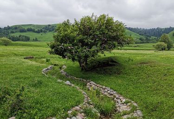 那拉提旅游风景区第 37 张图片