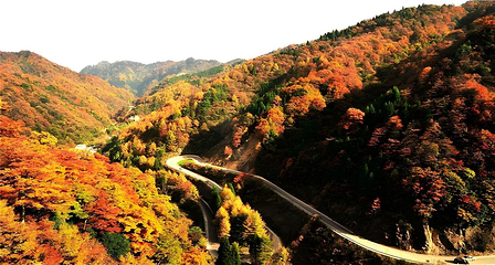 汉中龙头山国际旅游度假区第 119 张图片