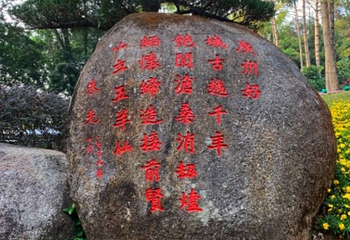 珠江夜游西堤码头第 15 张图片