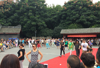 成都市人民公园第 48 张图片