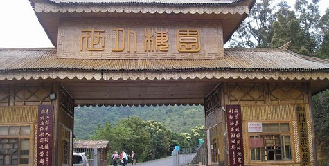 世外梅园第 11 张图片