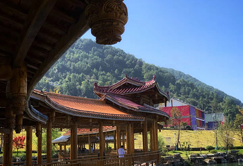 龙里油画大草原第 34 张图片