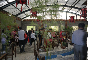 金沙谷风景区第 25 张图片