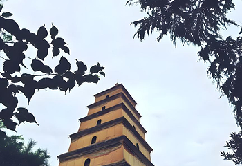 大雁塔第 190 张图片