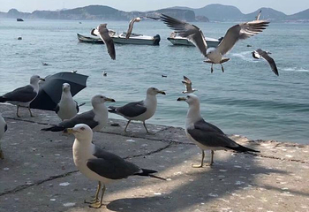 隆霞湖风景区第 25 张图片