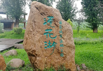 莲花湖国家城市湿地公园第 27 张图片