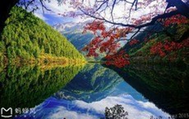天堂部落藏家风情园第 6 张图片