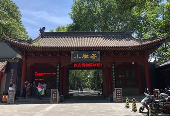 小雁塔遗址公园第 107 张图片