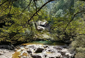 黄岗山大峡谷第 11 张图片