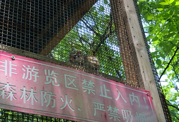 松鼠咔咔森林乐园第 19 张图片