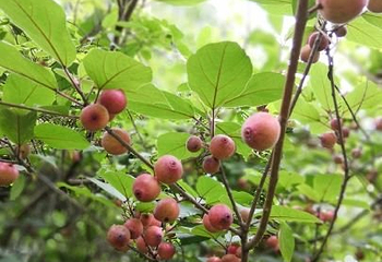 大樟溪休闲游乐区第 4 张图片