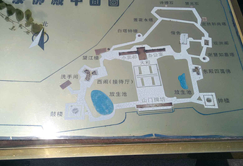 开元寺泰佛殿第 21 张图片