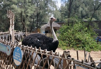 翡翠湾旅游度假中心第 20 张图片