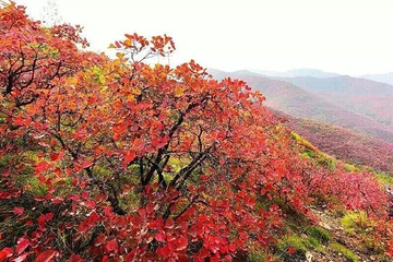 大鸿寨风景区第 46 张图片