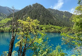 诺日朗餐厅第 19 张图片