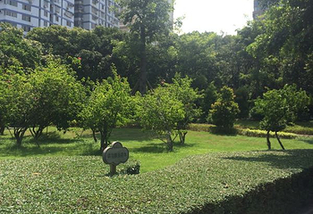 中山公园第 48 张图片