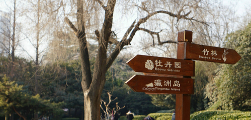 西苑公园第 19 张图片