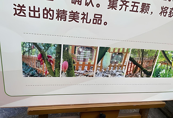 兴隆热带植物园第 99 张图片