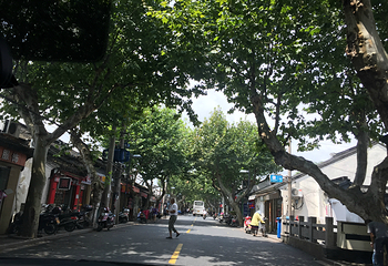 李公堤第 17 张图片
