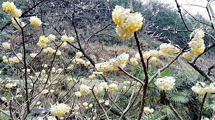 三溪大峡谷第 20 张图片