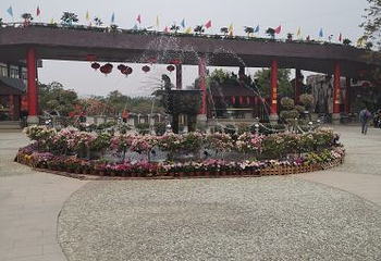 花海欢乐世界第 25 张图片
