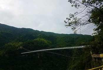 灵江源森林公园第 28 张图片