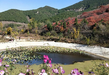 官护山第 15 张图片