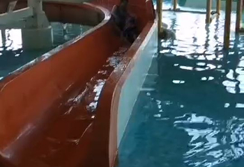 凯撒森林温泉第 10 张图片
