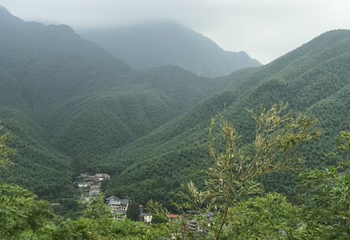 中国大竹海景区第 59 张图片