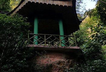 蜀南竹海风景名胜区-忘忧谷第 10 张图片