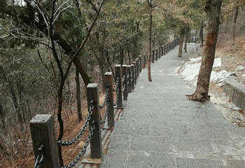 英雄山第 11 张图片