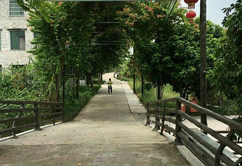广州市世外桃源度假村第 17 张图片