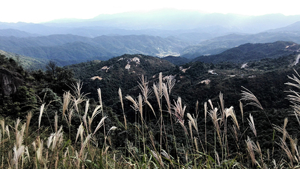 广东第一峰旅游风景区第 57 张图片