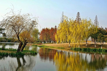 玄武湖景区-情侣园第 6 张图片
