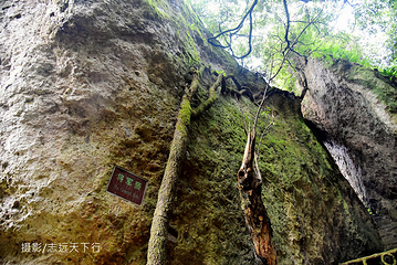 三明瑞云山风景名胜区第 15 张图片